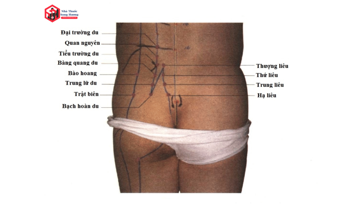công dụng của huyệt Bào Hoang