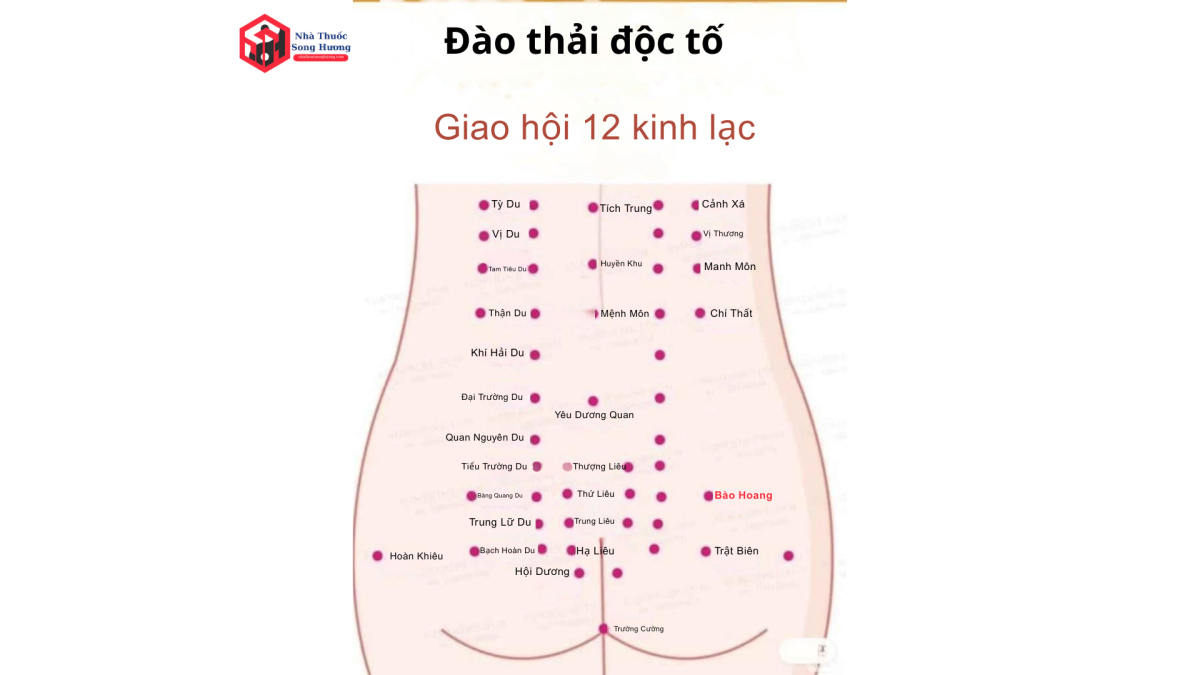 huyệt Bào Hoang là gì, vị trí ở đâu, chủ trị gì