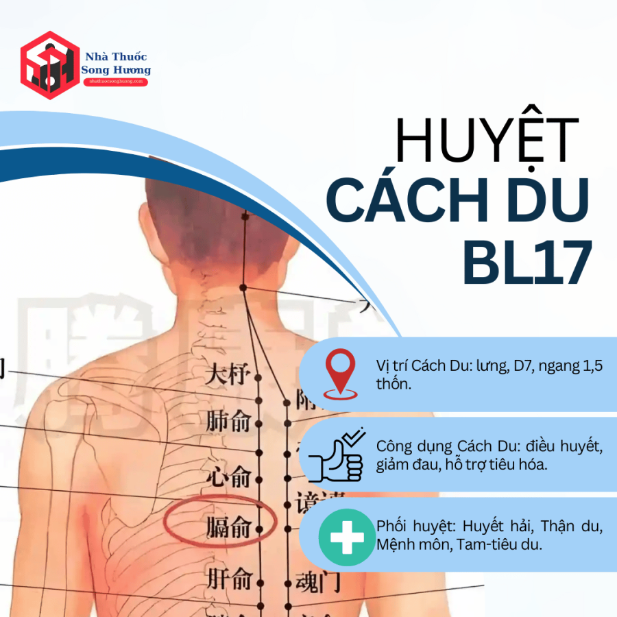 huyệt Cách Du là gì, vị trí, kinh lạc, nguồn gốc ý nghĩa tên gọi