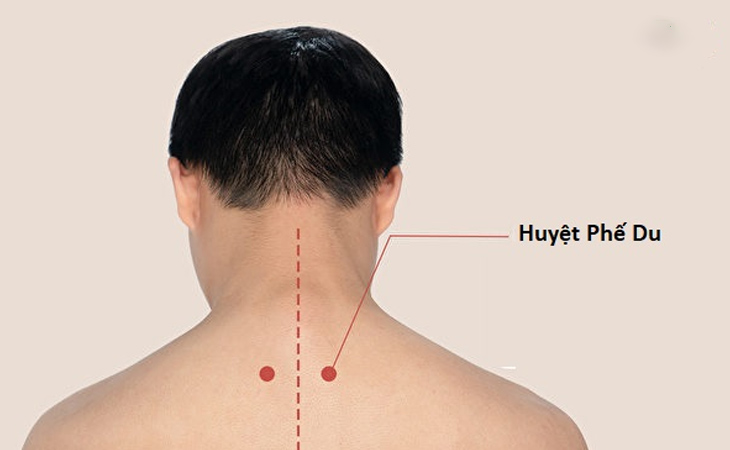 Phối huyệt bộ lang với Phế du chữa bệnh hô hấp