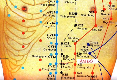 Hệ thống huyệt vị và kinh lạc gần huyệt Âm Đô