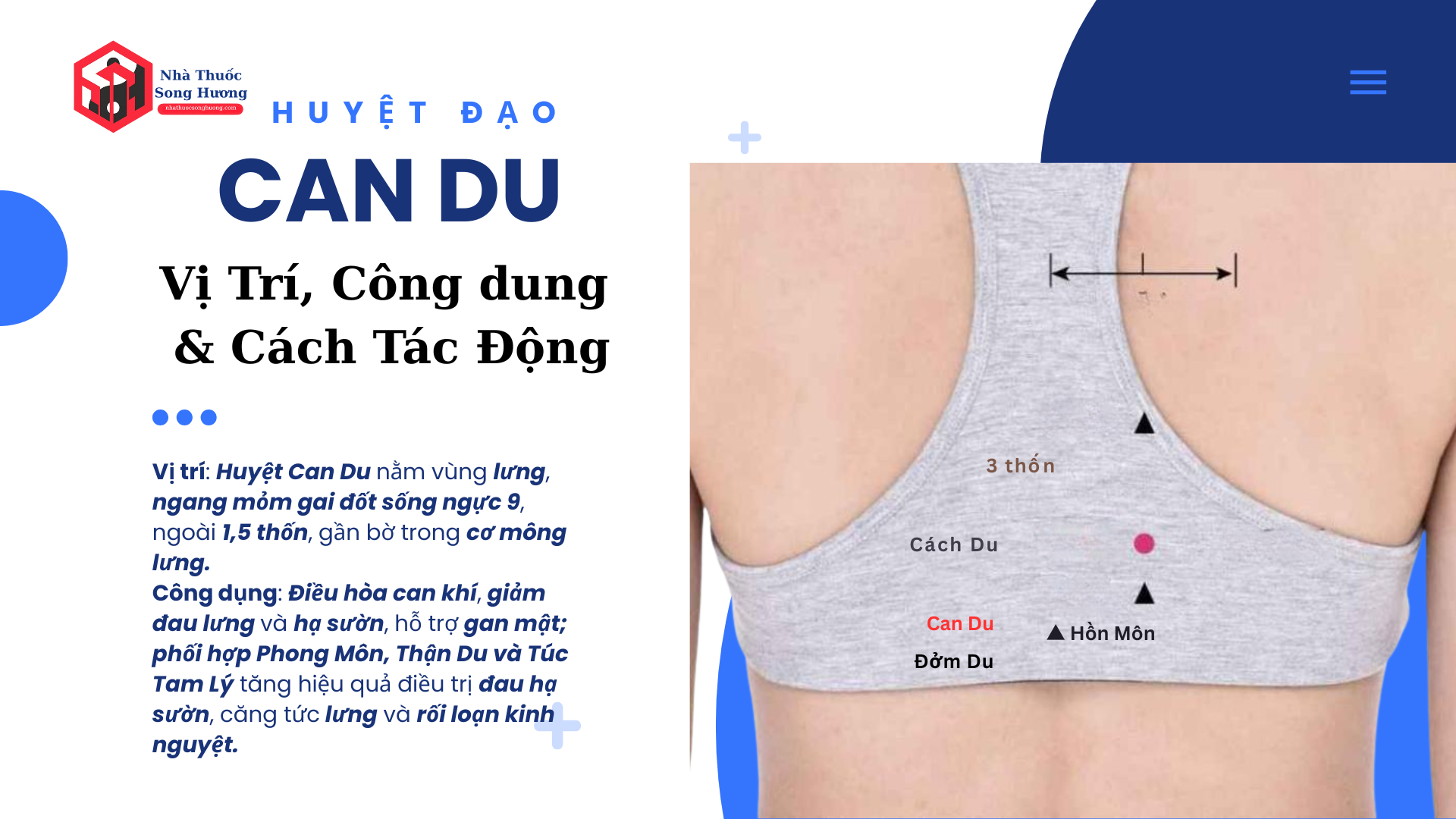 Huyệt Can du vị trí công dụng và cách tác động