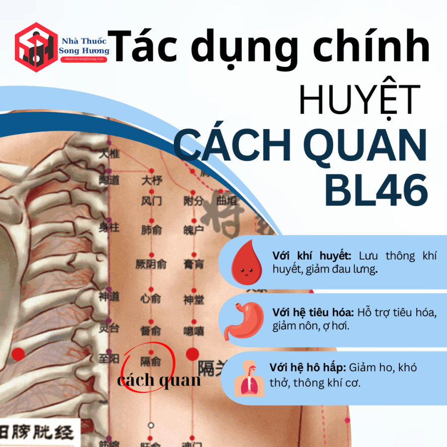 Tác dụng chính của huyệt cách quan