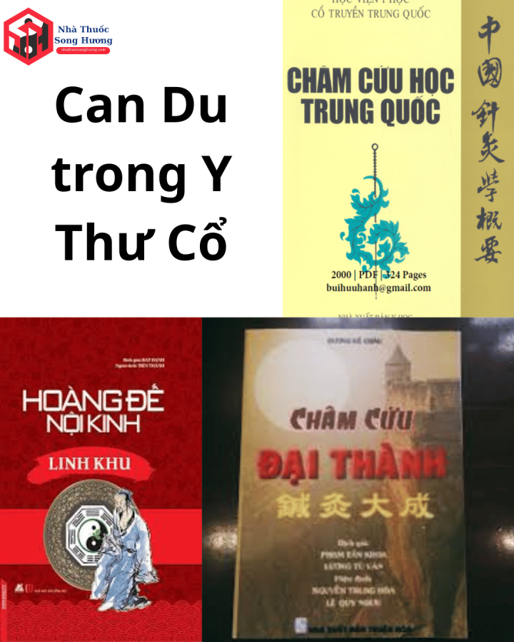 huyệt Can Du trong y thư cổ nói gì