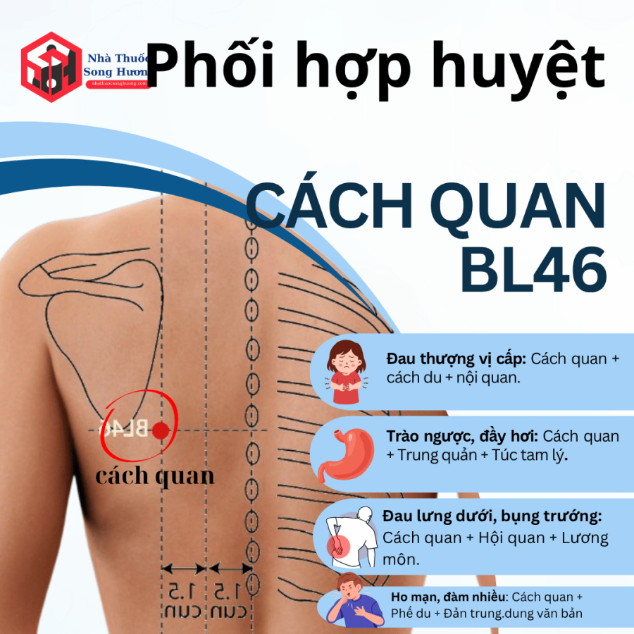 phối huyệt đạo cách quan với các huyệt khác