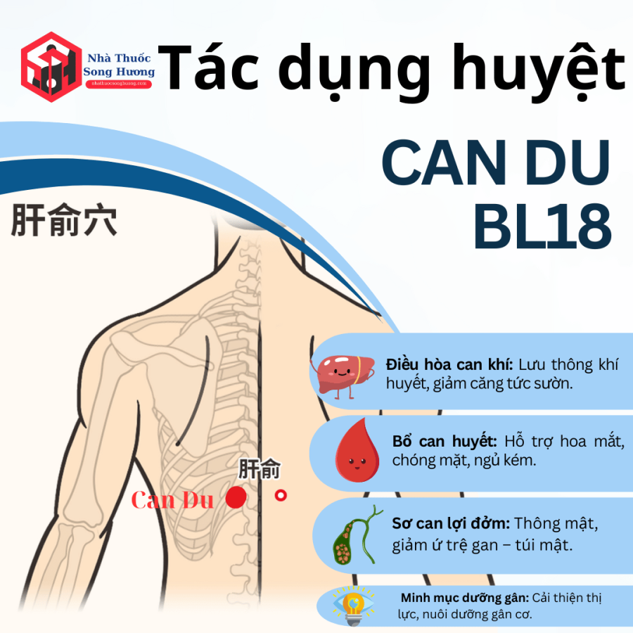 tác dụng của huyệt can du