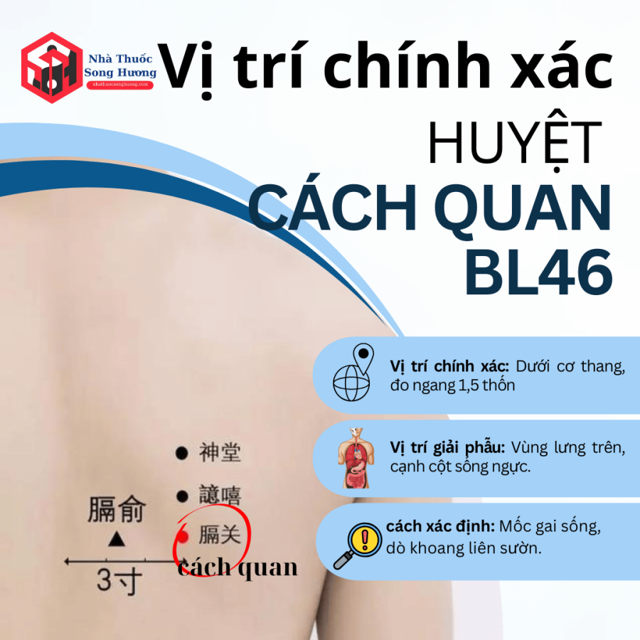 vị trí chính xác huyệt cách quan