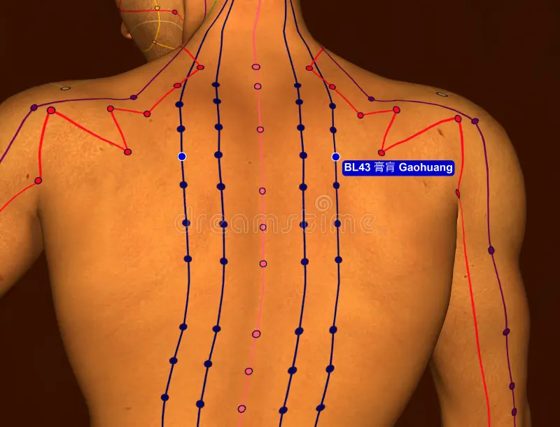 huyệt cao hoang cách xác định chính xác