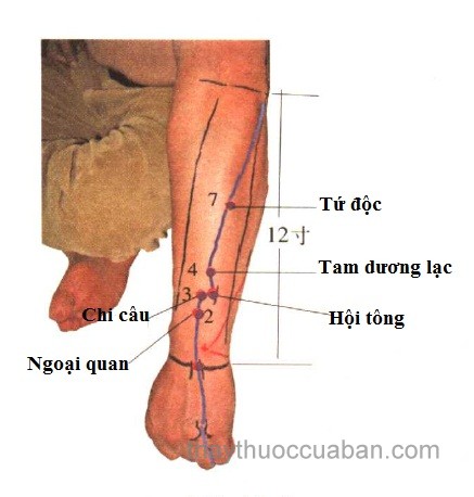 huyệt chi câu có công dụng gì