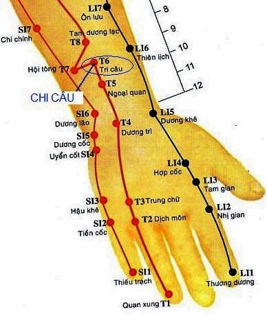 huyệt chi câu nằm ở vị trí nào