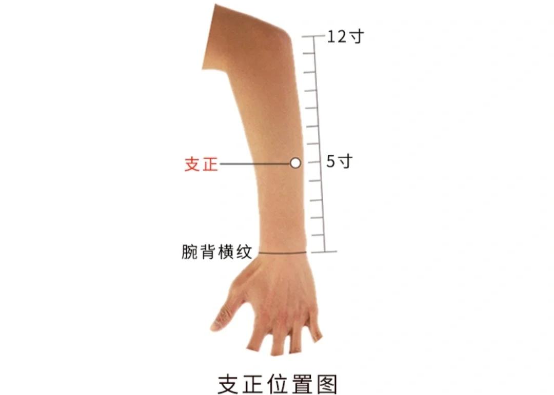 hướng dẫn day ấn bấm huyệt Chi Chính chữa bệnh