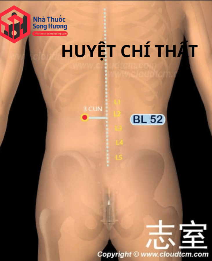 huyệt chí thất nằm ở đâu