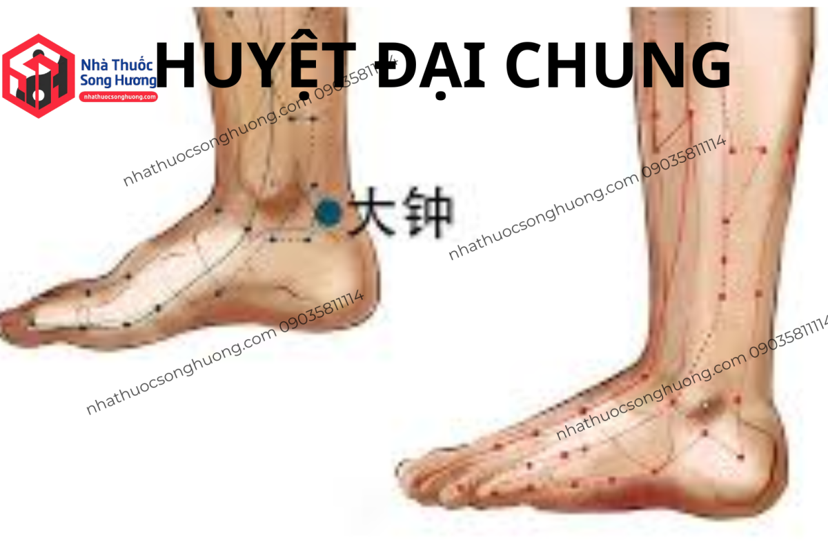 huyệt dại chung là gì, nằm ở đâu, công dụng