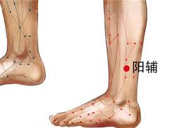 huyệt dương phụ