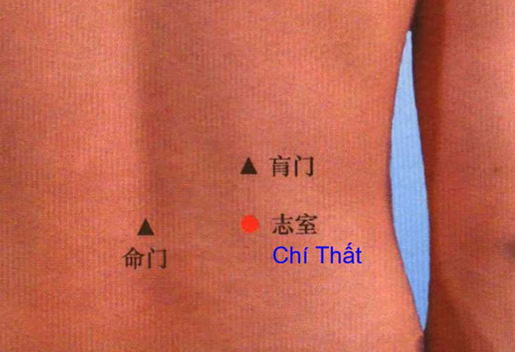 huyêt chí thất nằm ở đâu, cách xác định