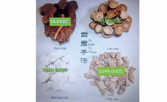 Quân Thần Tá Sứ trong bài thuốc Bạch Hổ Thang