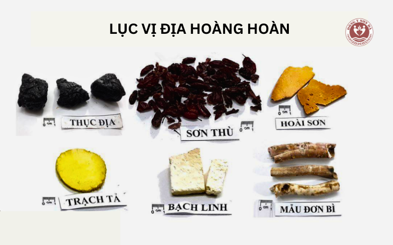 so sánh với Lục vị địa hoàng hoàn
