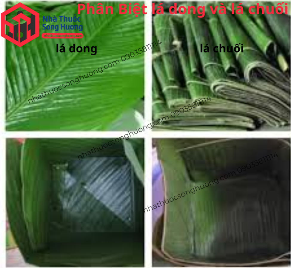 phân biệt lá dong và lá chuối