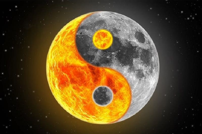 Sơ đồ liên kết con người và tự nhiên