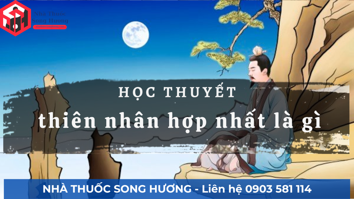 Biểu đồ vũ trụ và cơ thể người tương ứng