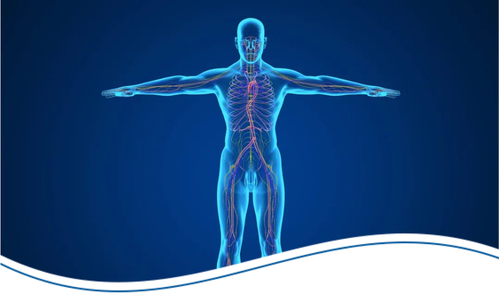 Hình người cảm nhận thay đổi thời tiết