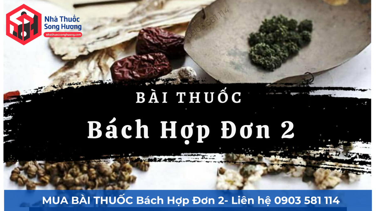 bài thuốc bách hợp đơn ii (bách hợp đơn 2)