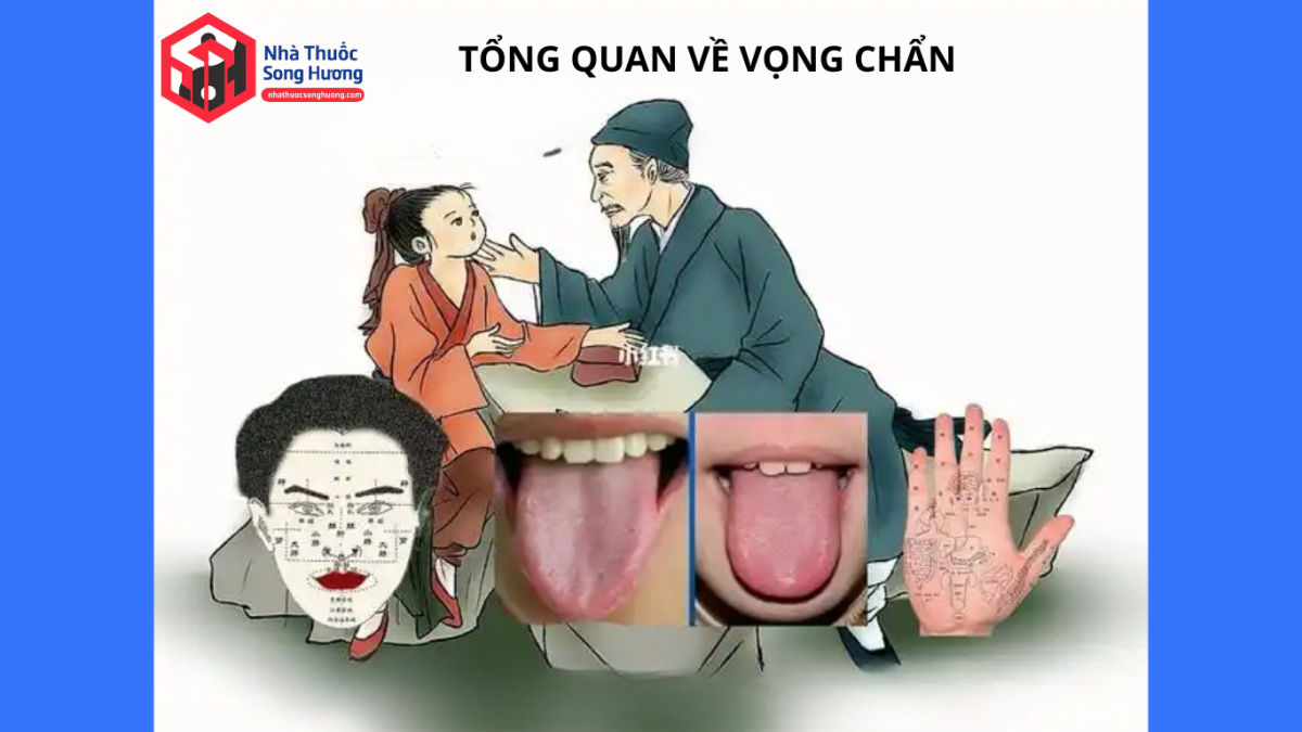 Sơ đồ tổng hợp thần – sắc – hình – lưỡi – ngũ quan trong vọng chẩn.