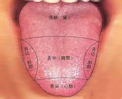 Hình ảnh lưỡi đỏ rêu vàng và lưỡi nhạt rêu trắng.