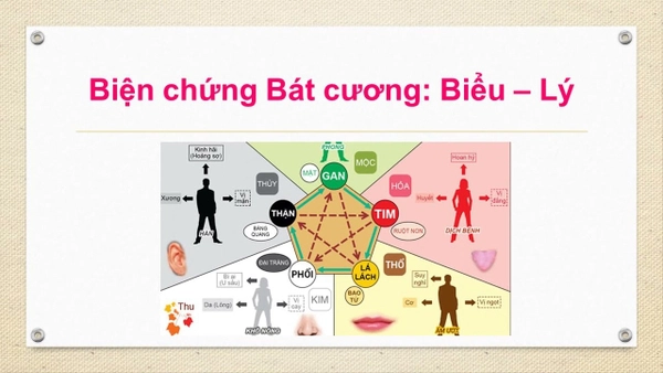 Bát cương biện chứng