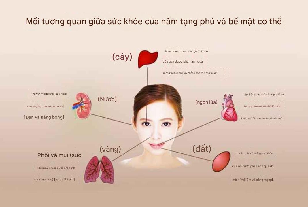 Mạch máu đỏ tại khóe mắt