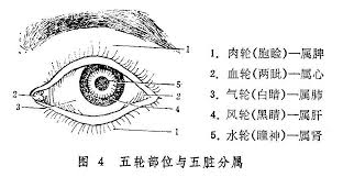 Hình mí mắt trên dưới