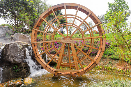 Đồng tử và võng mạc