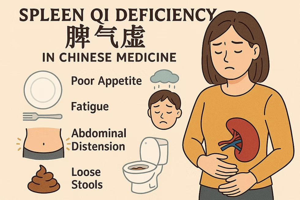 Minh họa cơ thể suy nhược đa tạng phủ trong Đông y