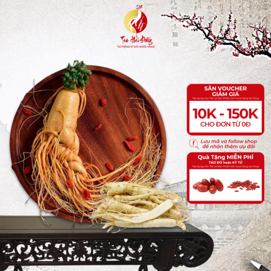 Nhân sâm đại bổ nguyên khí Đông y