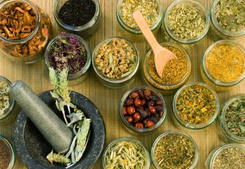 các thuốc đông y được bào chế kỹ lưỡng