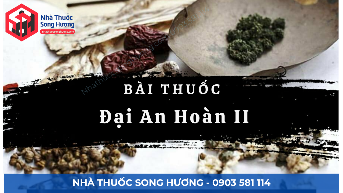Đại An Hoàn II: Bài Thuốc Đông Y Trị Đầy Bụng, Khí Hư