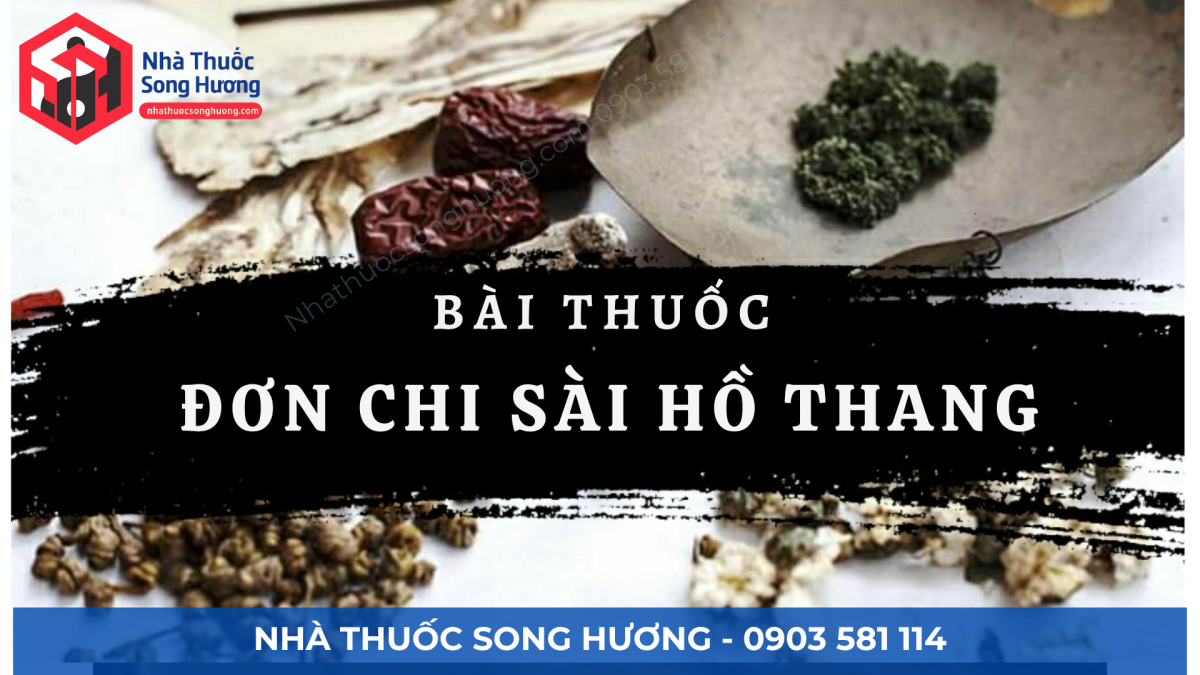 đơn chi sài hồ thang