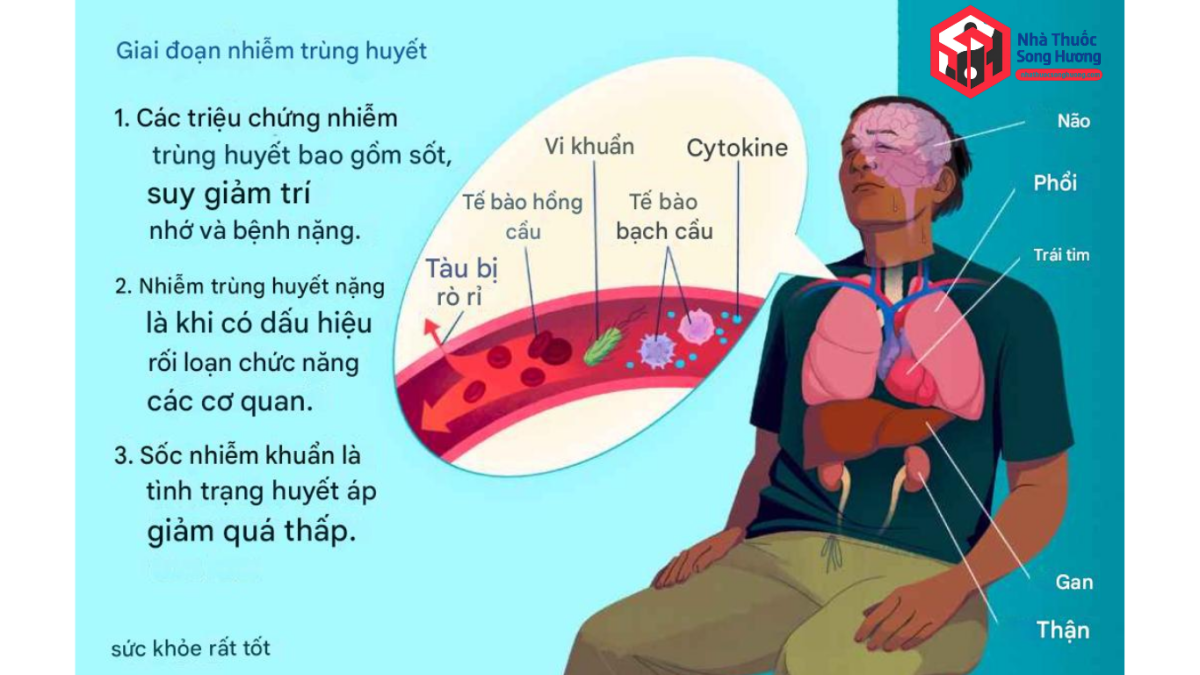 Nhiễm trùng huyết do vi khuẩn lan rộng