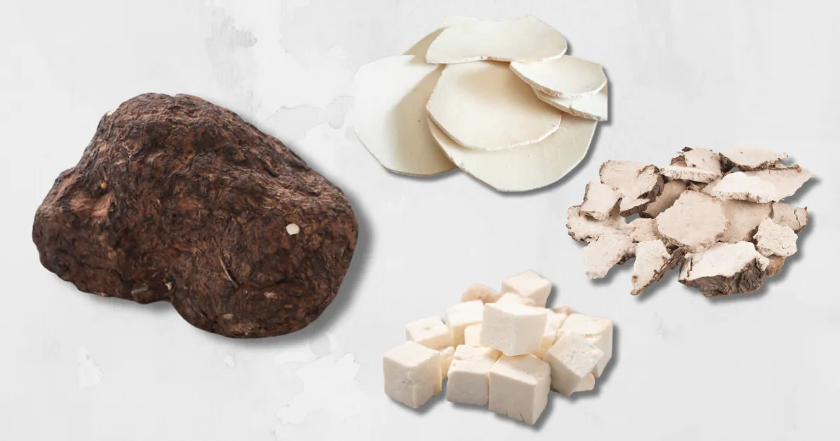 Dược liệu phục linh hỗ trợ tiêu hóa và hóa đờm