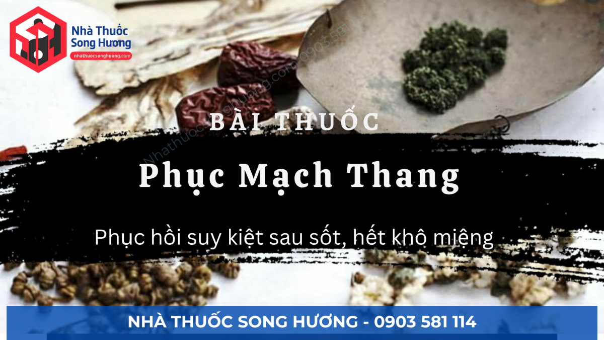 Phục Mạch Thang: Phục hồi suy kiệt sau sốt, hết khô miệng