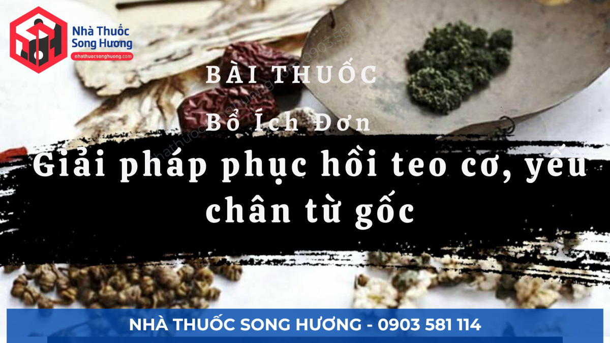 bài thuốc bổ ích đơn
