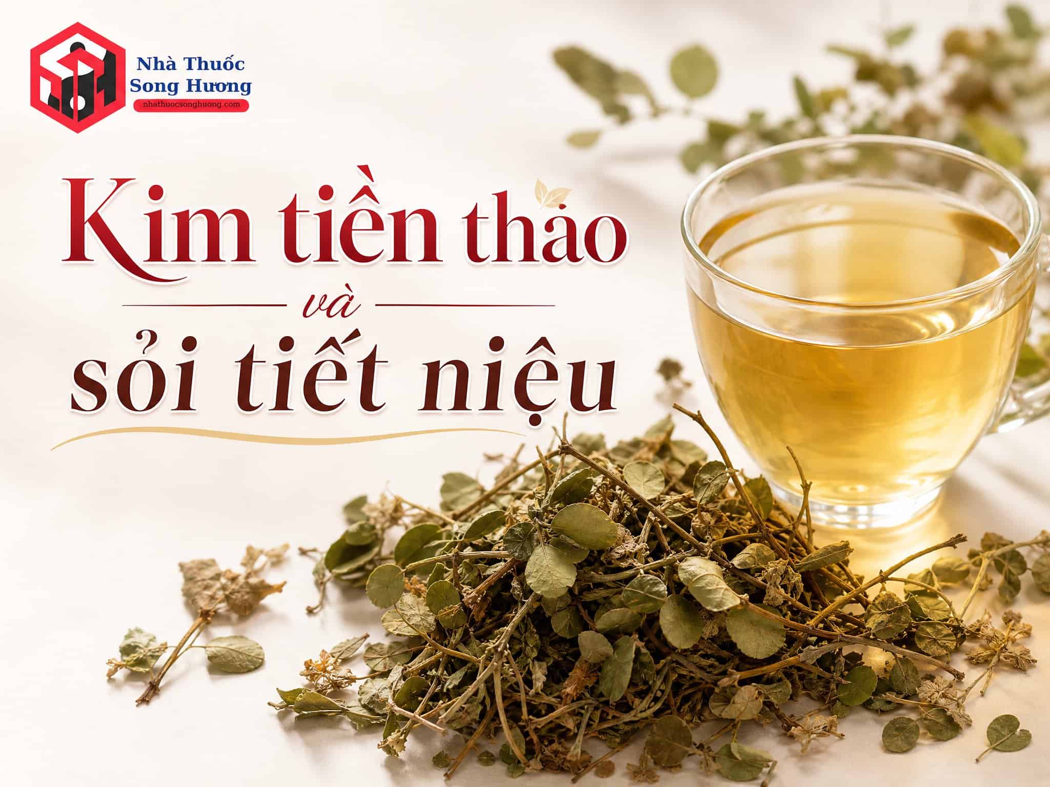 Trà kim tiền thảo và sỏi tiết niệu trong nhà thuốc Song Hương.