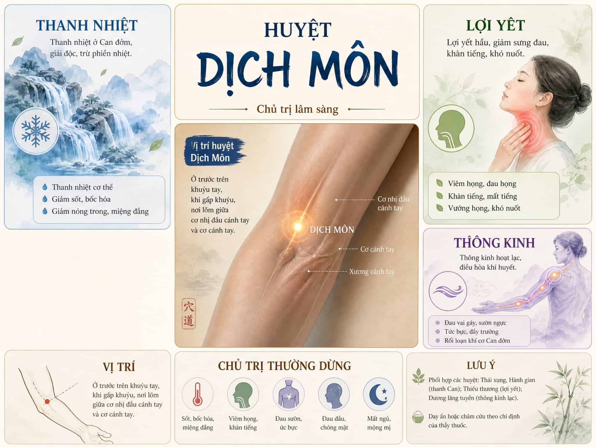 Minh họa tác dụng của huyệt Dịch Môn đối với vùng tai, họng và đường kinh Tam Tiêu
