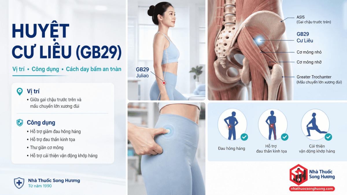 huyệt cư liêu vị trí công dụng cách bấm