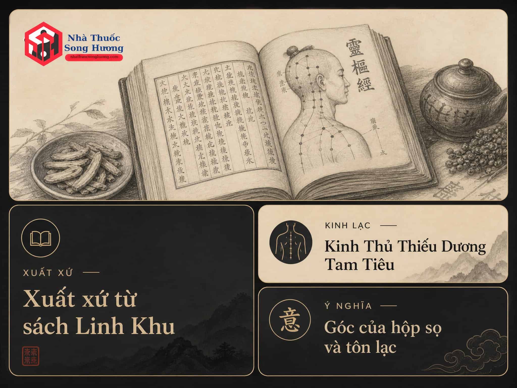 Huyệt Giác Tôn là gì?