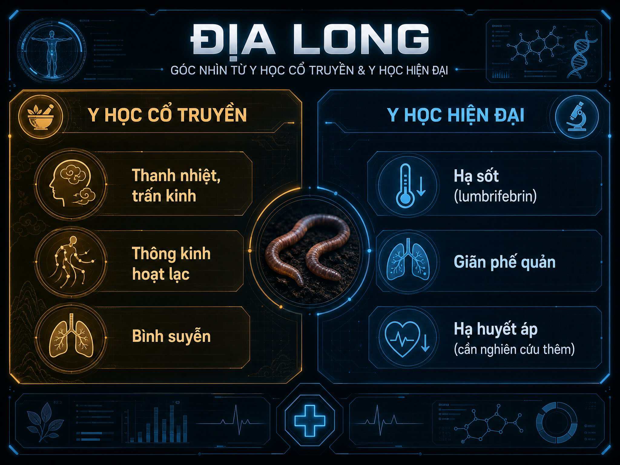 Địa long có tác dụng gì theo y học hiện đại?