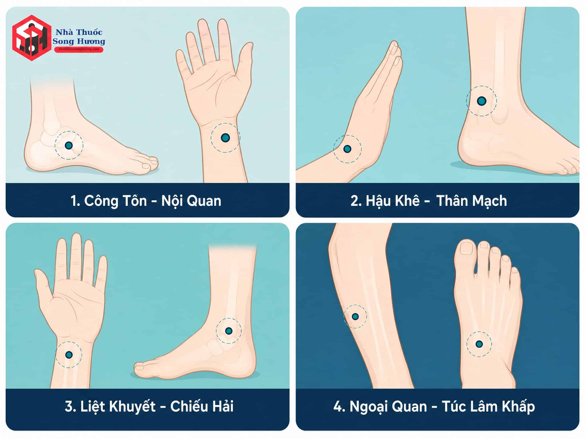 Vị trí các huyệt Giao Hội Kỳ Kinh trên cơ thể người.