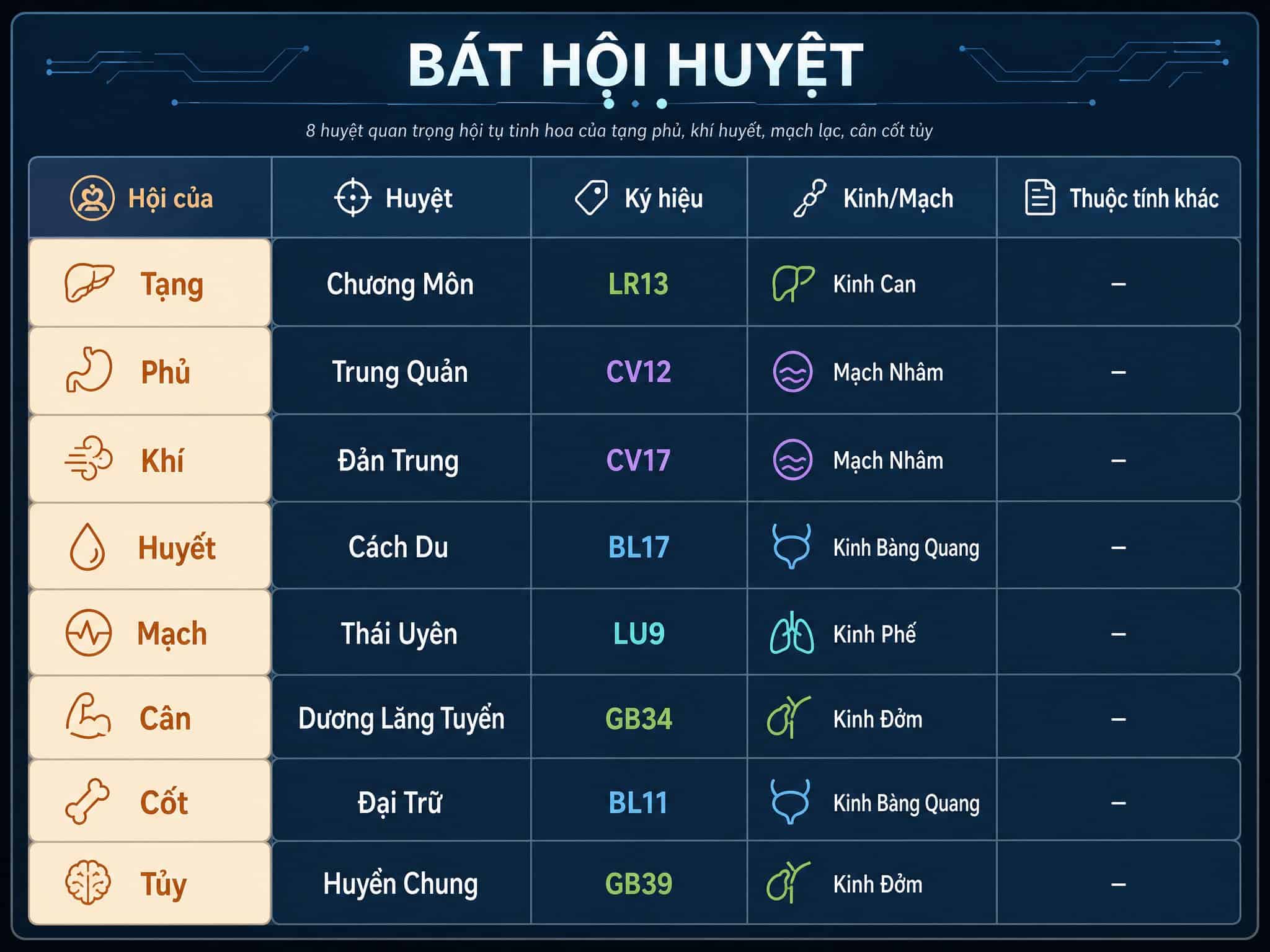 Bảng tổng hợp 8 Bát hội huyệt